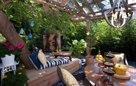 Karen's Backyard
